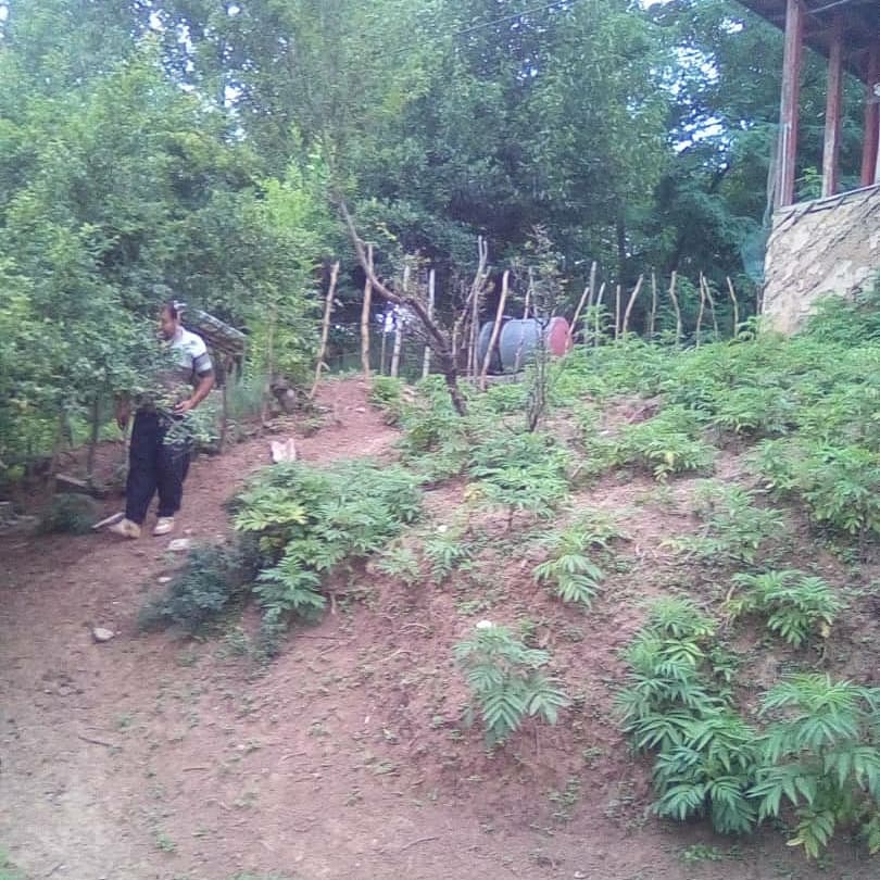 زمین مسکونی روستایی